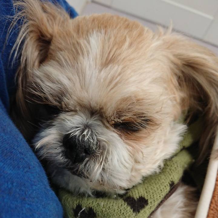 3e790dd7 f4ee 4ff2 bf47 8fdfb4762cf9 1551515831538