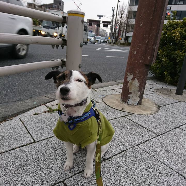 3e7931cf 3c36 4a10 9a85 5acbdc92de06 1519596517407