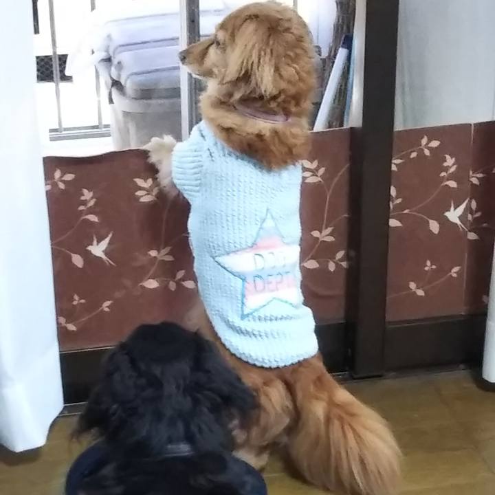 3e793ab2 76a8 41cd 9149 2734f0609609 1573957233456