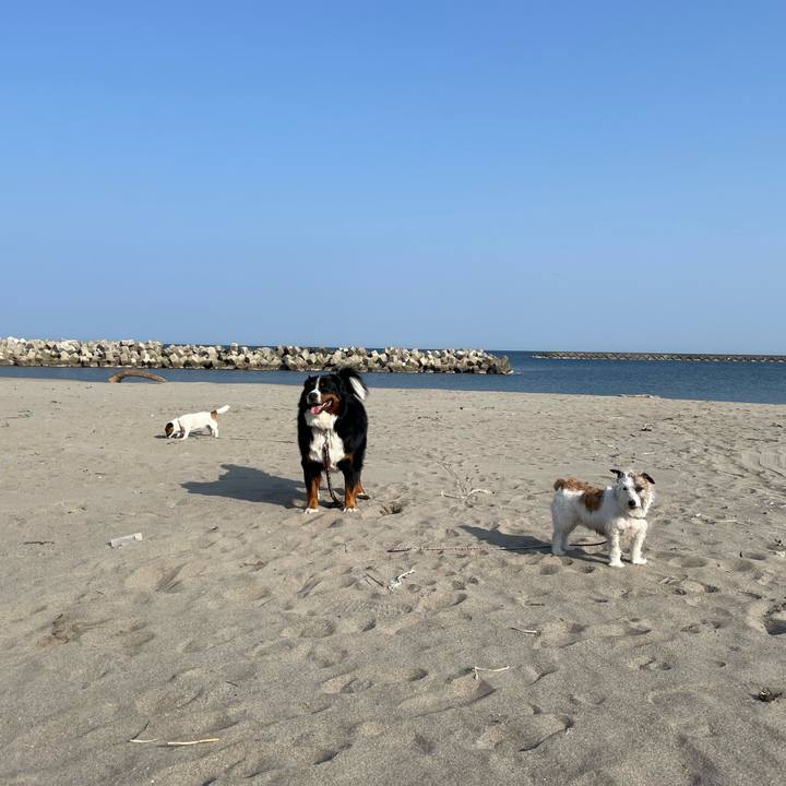 3e795542 de9b 40aa 9edf 16b96e099d48 1680221120493