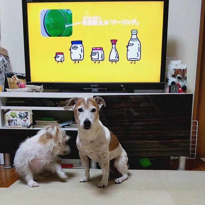 3e795c58 5c18 4918 980c 1508059e1ee4 1582584061845