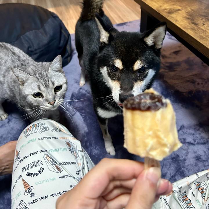 3e796a55 37ef 4492 8cf2 7b2181ef24d2 1727614998991