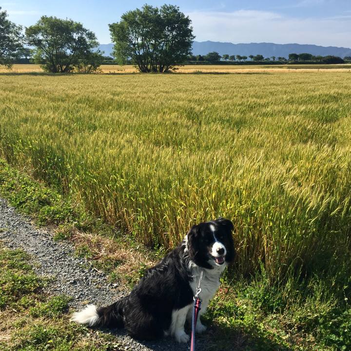 3e798b3d 153f 4c8e 81d6 cb9a1468dc22 1588894103259