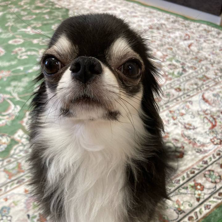 3e7994a7 1c75 4ffa 8439 95effea44dbf 1660316629484