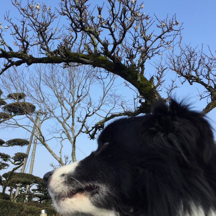 3e799b3d 19d1 4518 8110 fe4176bb0f66 1519603004643