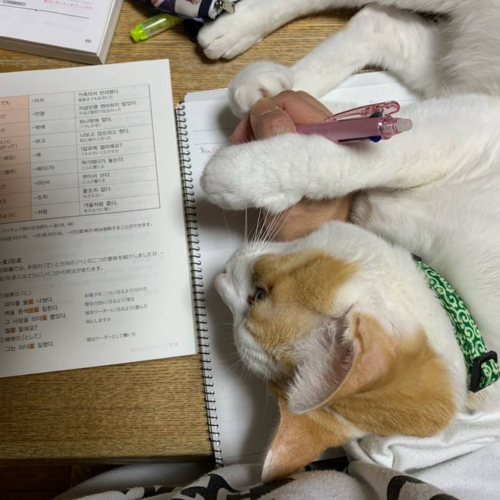 3e799ddb 4fe3 4ec1 be57 ed966333fc2a 1583933057916