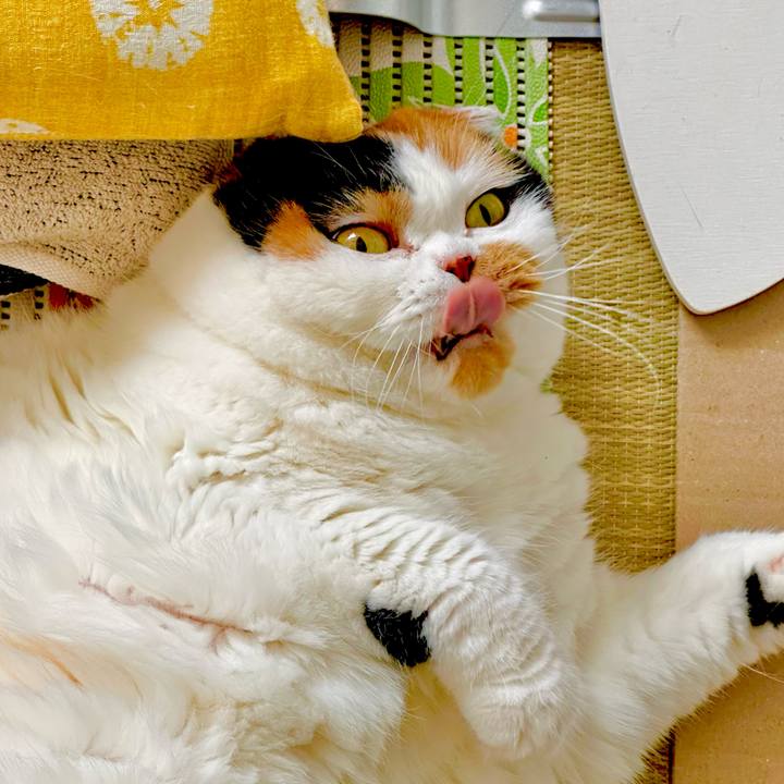 3e79a192 62c3 4047 a381 f17204f191fd 1690596148242