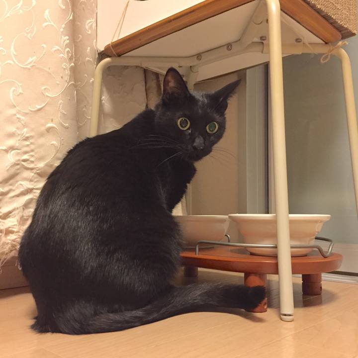 3e79be13 fa40 4f52 9b5d a0d7a40e4782 1509632905631