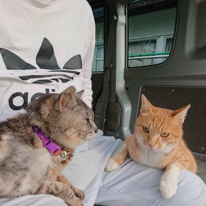 3e79e620 43e1 42d6 8fba 64ab3d8ce800 1595019574218