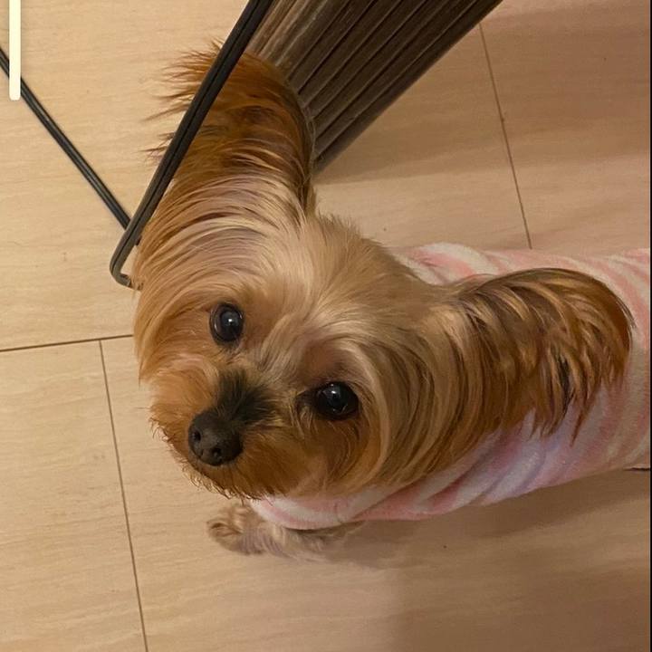 3e7a00ca 1f3b 4a5b 906b ab0dab3b759b 1612693233939