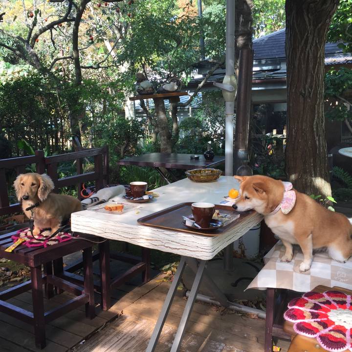 3e7a2f56 94cd 40d9 b094 51cf013e001e 1509709020882