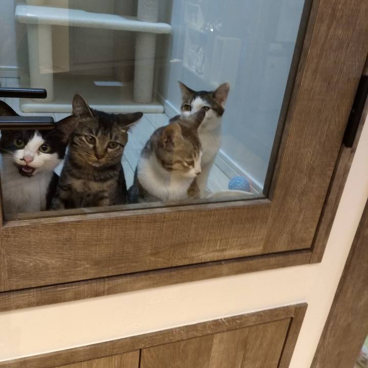 3e7a330d 2d49 481e 856c 2f4c6c7d8302 1572852384222