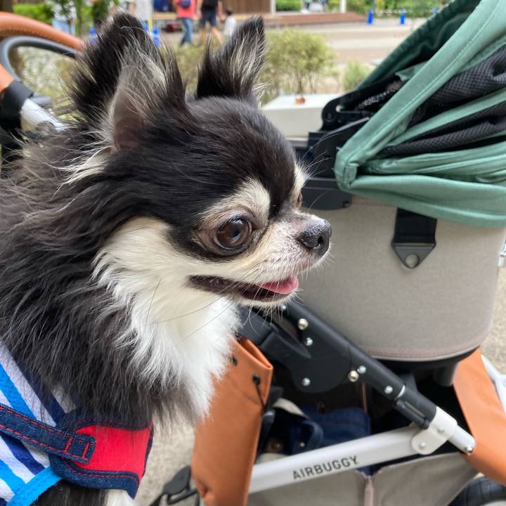 3e7a6637 08e3 4218 bc01 9e895fa0aa80 1696171056870