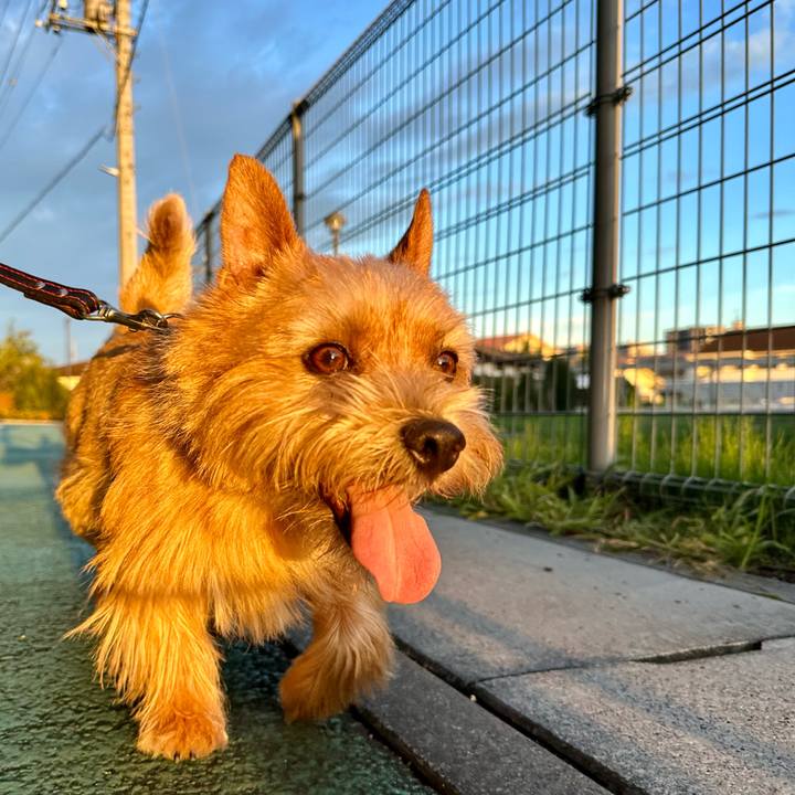 3e7a79ba 1b5c 4148 bb23 c4a51c083474 1752498569018