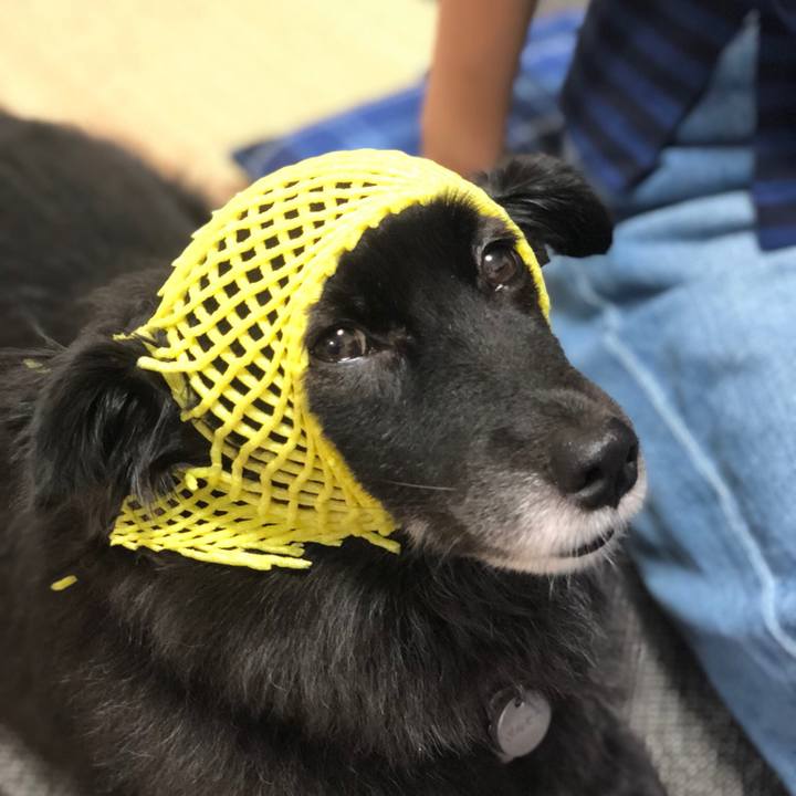 3e7a8a59 083a 429f 86f9 811eb8e6e116 1538802955216