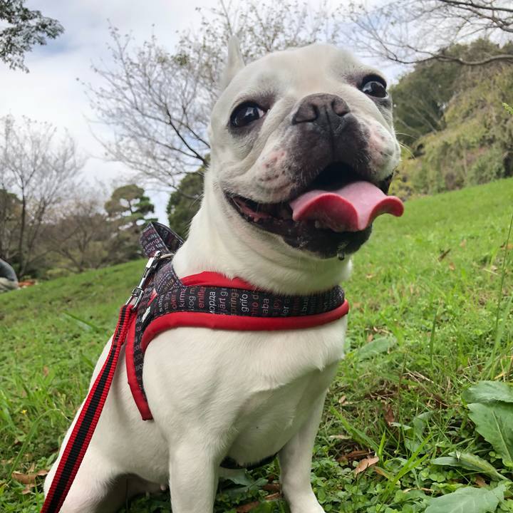 3e7a8b81 5337 4c86 ae66 e937afd0fa9c 1537767265680