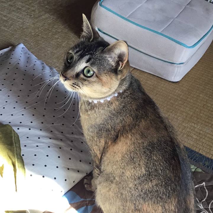 3e7a9a54 4de4 4e1e b063 55df593de028 1587769214002