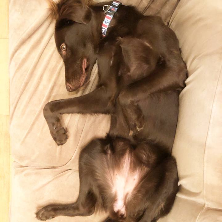 3e7ac2ed 59c3 415e a4cf b527fcaaf9cc 1573548658739