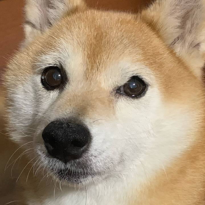 3e7ae151 d27f 4eec ab11 b415eb1b4b73 1660175040172