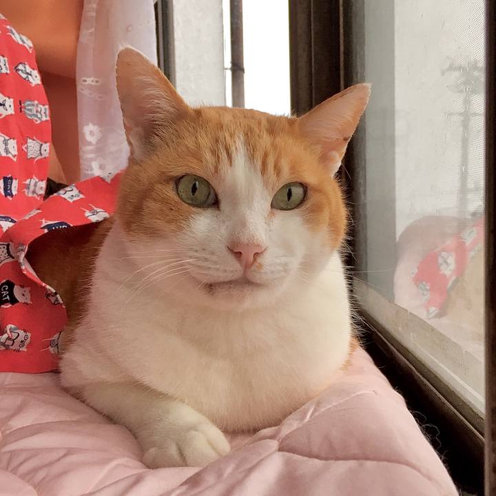 3e7b0836 172f 4f87 9186 8ab46b391a51 1583825954830