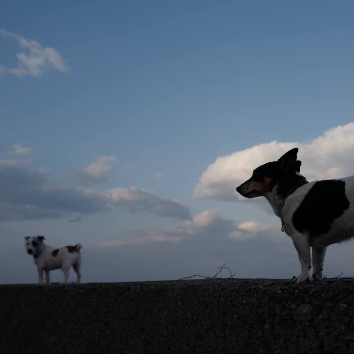 3e7b1081 17a2 4755 b6ea eb76763339af 1510202508053