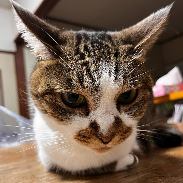 3e7b1f2c 180e 4fc1 9caa 32bcf0061921 1663286062857