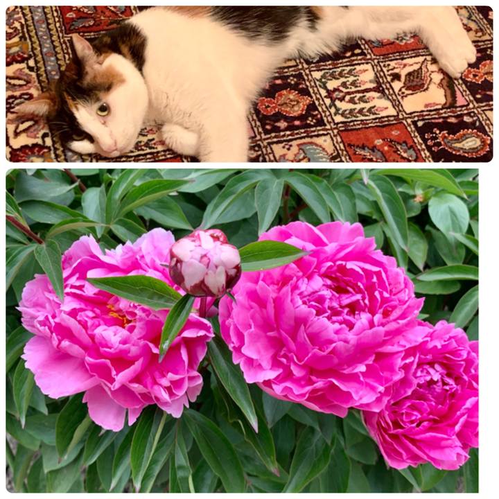 3e7b25d2 c5b1 43f6 ac50 e0d42686ef23 1619263814915