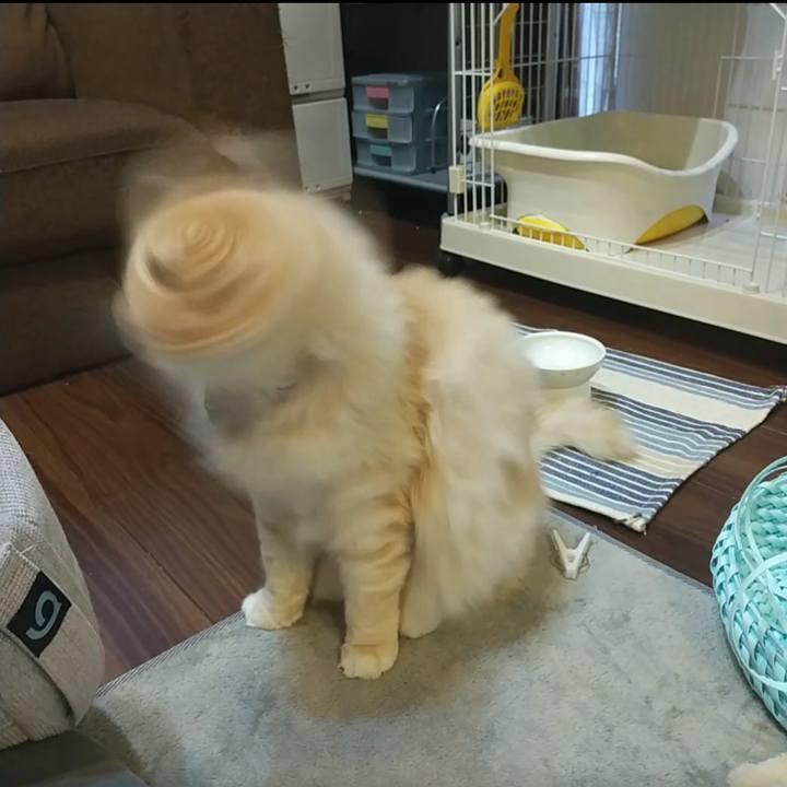 3e7b70be 1841 403d bc78 4e5403d6af2e 1648554416723