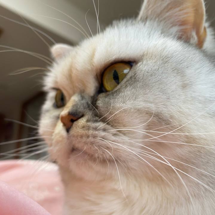 3e7b82f7 8692 42d7 8ade 7378940d9e5c 1738403317330