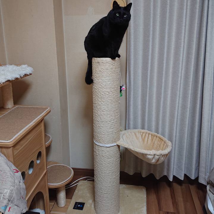 3e7ba9b0 33f0 4b56 ab8a a0c3580843c3 1706345849166