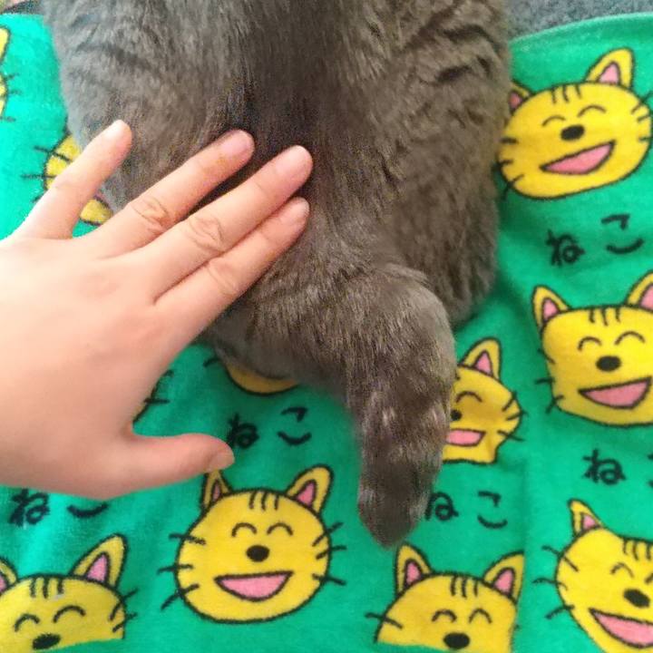 3e7bb974 3123 4b2c b4b3 ebe63abd638d 1673223582834