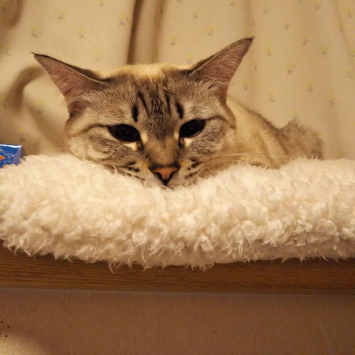 3e7bc7d0 5ffc 4cdb 9281 5c443bebf0fc 1543672449214