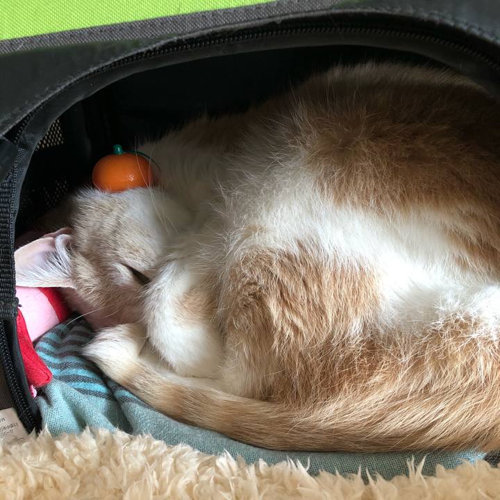 3e7c4339 62bd 4183 b123 6d8a623d8c19 1610367877879