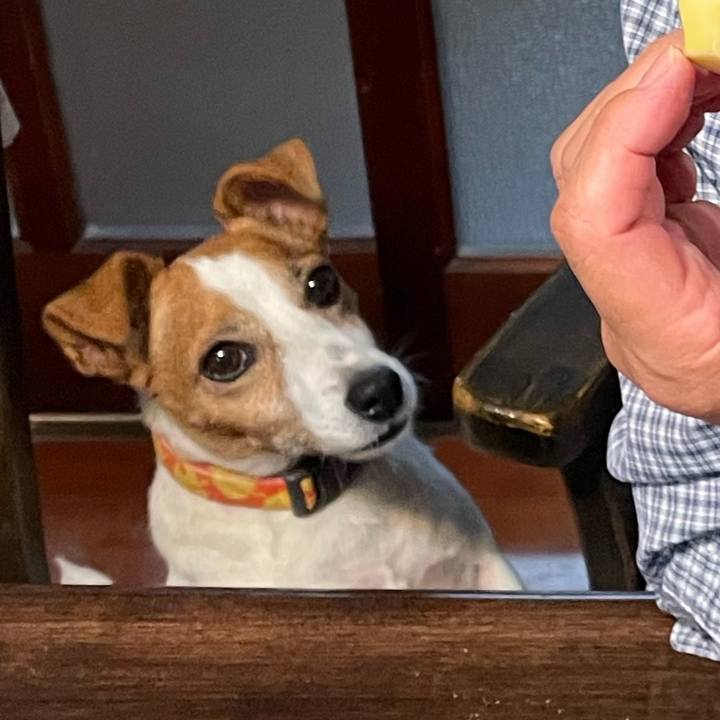 3e7c4da5 b2f6 46cd bdae 739110199edc 1761220393978