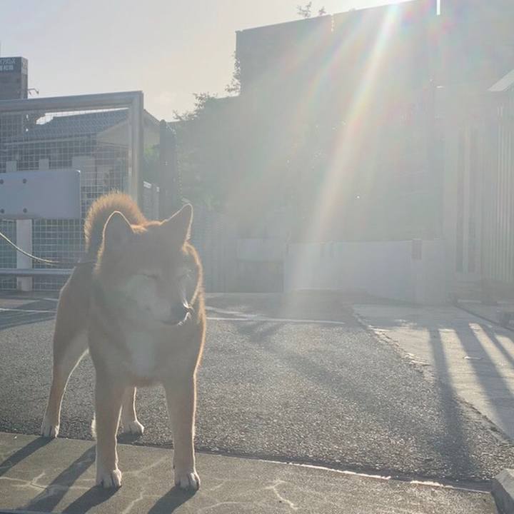 3e7c548e c42b 41a4 baa0 5d2c6895f00c 1590317888566