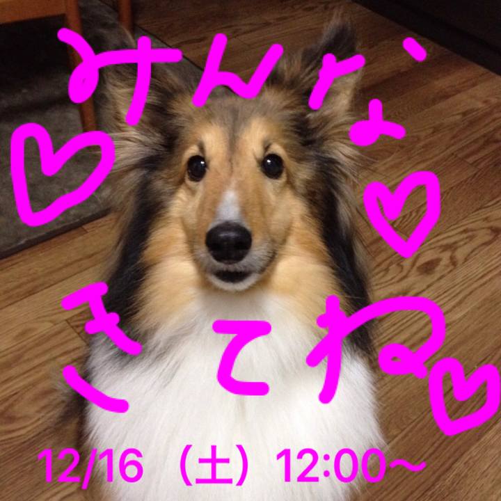 3e7c5e21 643e 42d5 bbdc 21453d6c7f6e 1513334287836