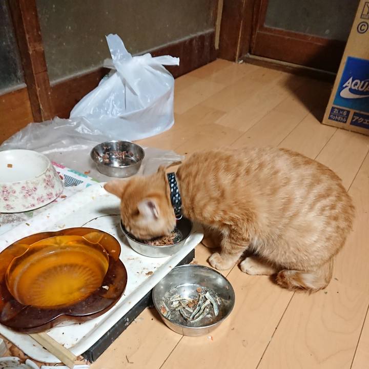 3e7c8deb 64bf 450d b05c 23e4bbc66caa 1634847405772