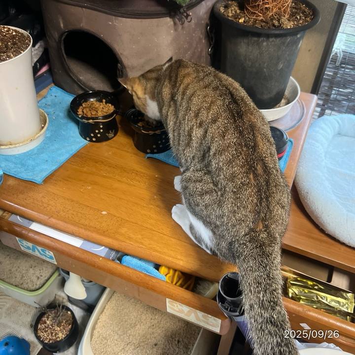 3e7cc144 1c4f 41a8 8725 bf47a082b6aa 1758837405753