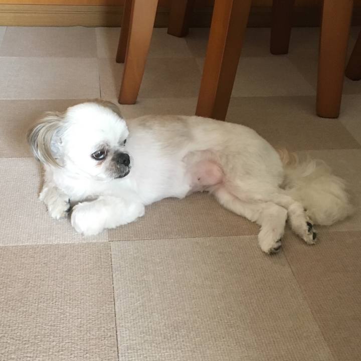 3e7ccdbd 604e 4a60 be71 372611dd9f6a 1532231966966