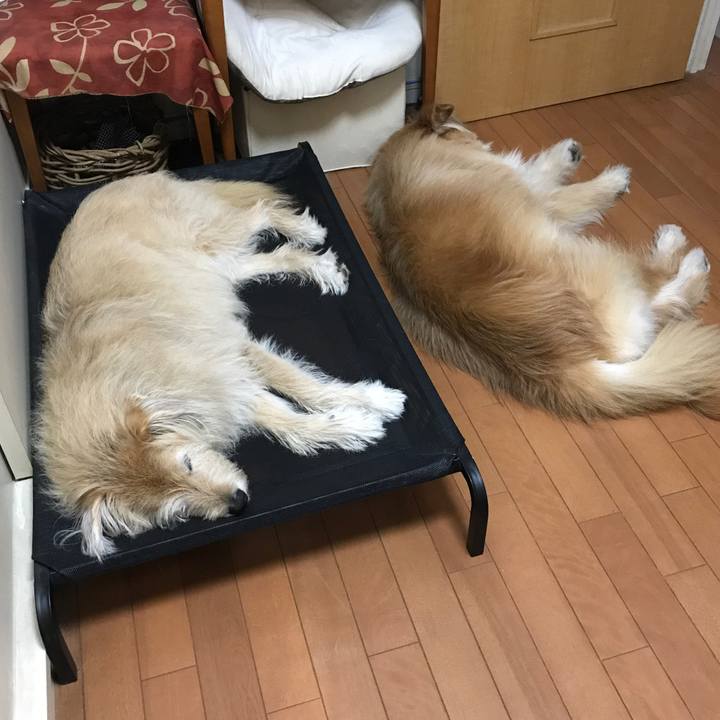 3e7cf6cc bbc1 4118 b3b8 7926435f1a9f 1623485779021