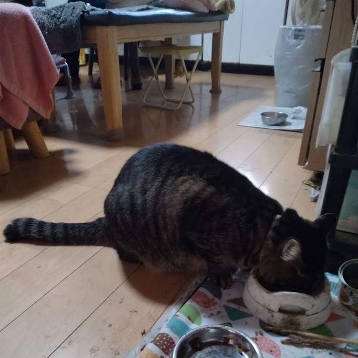 3e7cfa2a 8f64 4b79 b0c5 ed3bcae428b3 1667689279645