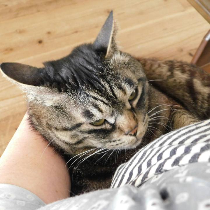 3e7d1423 f39d 4c38 89ae e1cd86aff146 1527991385192