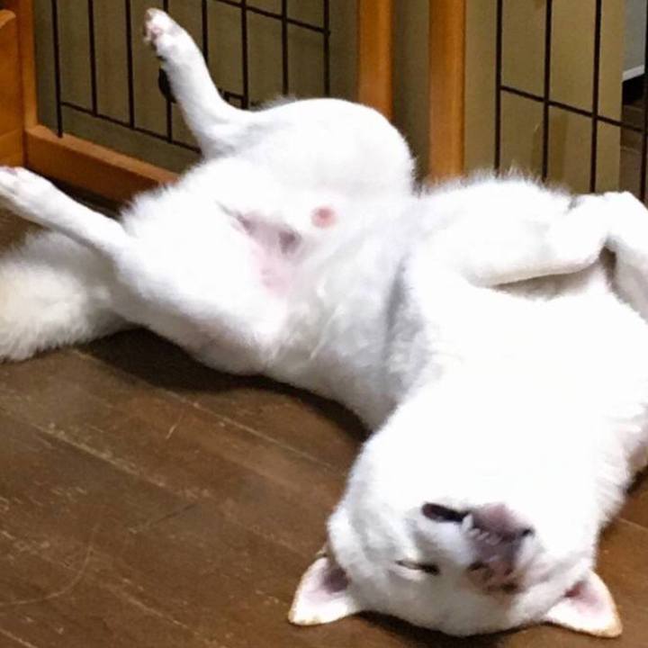 3e7d2c75 8c64 4df0 8d69 a6a7858c1279 1559290312925