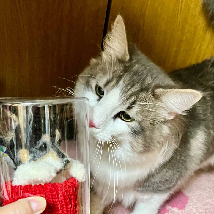 3e7d3e35 c189 419c 846f 48b6d9ac32c1 1660138203493