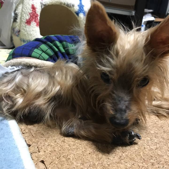 3e7d434c 2941 4eed 9e6e 6bc13a341bf8 1515069478330