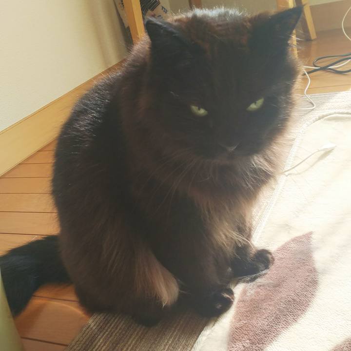 3e7d79d4 69a1 4d66 8491 c678c7c832a6 1519445613316