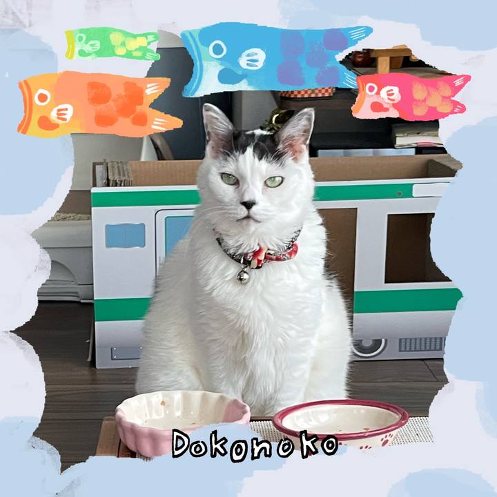 3e7d9392 9c28 4983 b66a 4acfcf3a7745 1749094350932