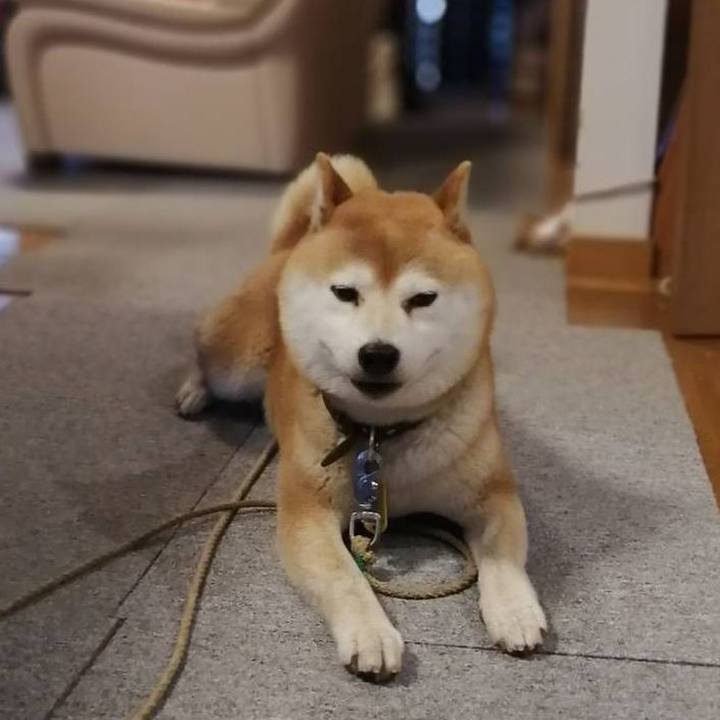 3e7da0a2 2516 4d80 ab07 4f9315a31a2a 1589879460042