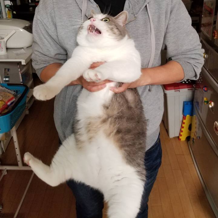 3e7dc862 cab1 42ca 882b 84cd3cd6caac 1596028393448