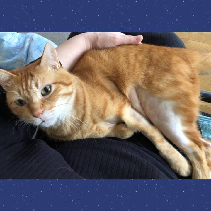 3e7dcbc1 1066 4dce 8485 110b81f1b492 1665803000940